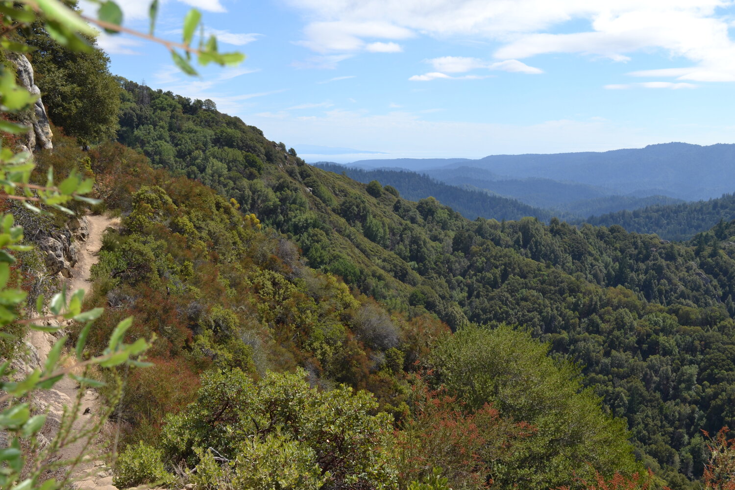 Castle Rock State Park