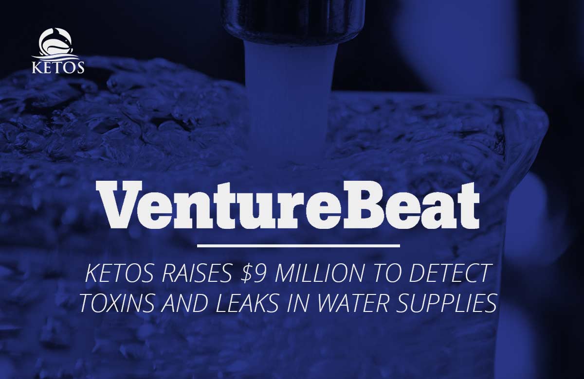 VentureBeat News