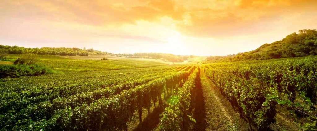 Water Quality And Optimal Nutrient Balance At Traditional Agriculture