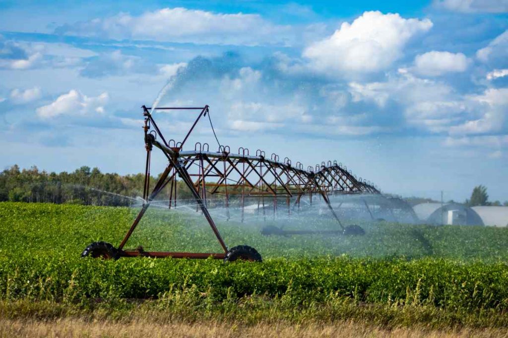 Water Quality And Process Efficiency At Traditional Agriculture
