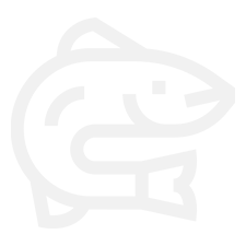 Fish Prism Icon