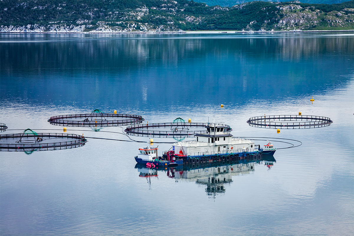 Ketos Aquaculture Farming Image