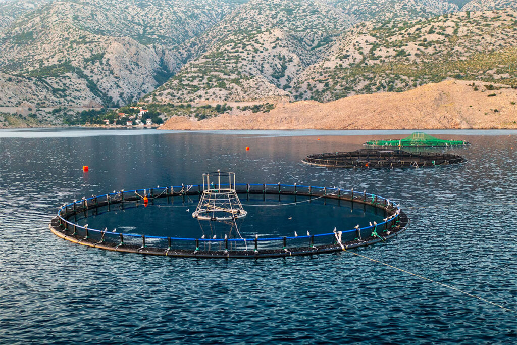 Ketos Aquaculture Fishnet Farming