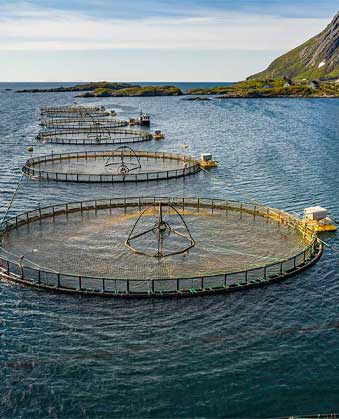 Ketos Industries Aquaculture Fish Farming Banner