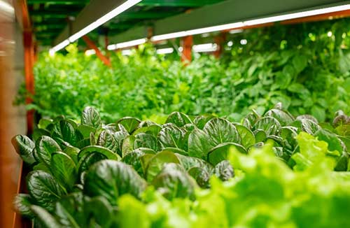 What You Need To Know About Water Quality Monitoring Technology And Compliance 1 Vertical Farming System With Led Lamps Water Compliance