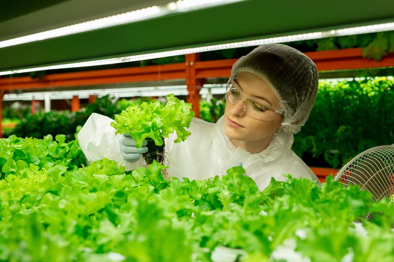 Vertical Farming Water Quality